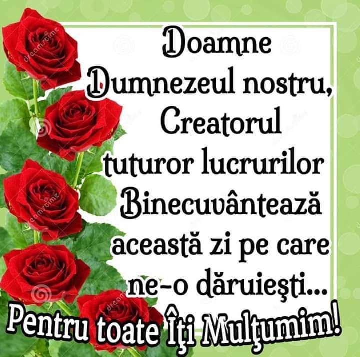 3e78fe3c-5925-41c4-aa05-ce230cc4ae09