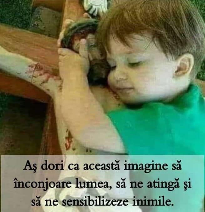 960016a3-4086-4541-b549-74177d7dde70