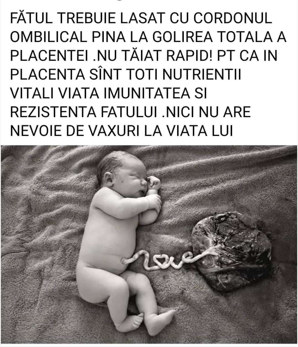 1e03fa61-06e3-4c82-b57d-f1ce6693ef8d