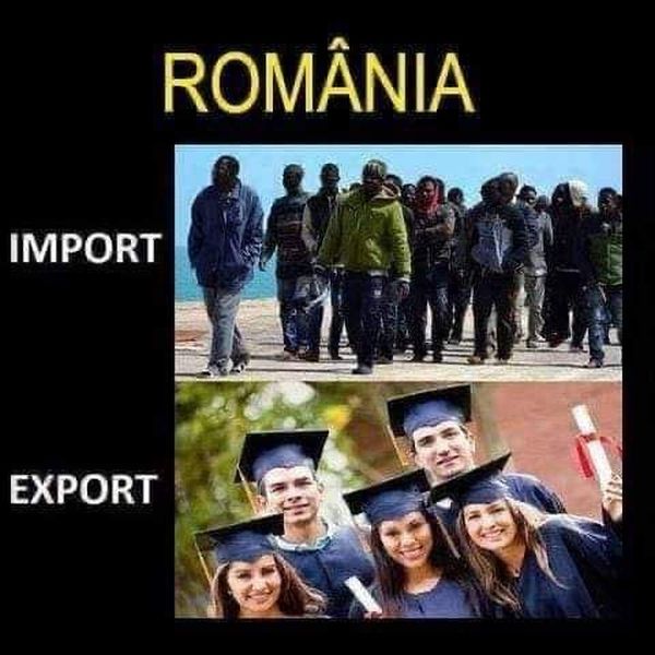 Importul și exportul din România