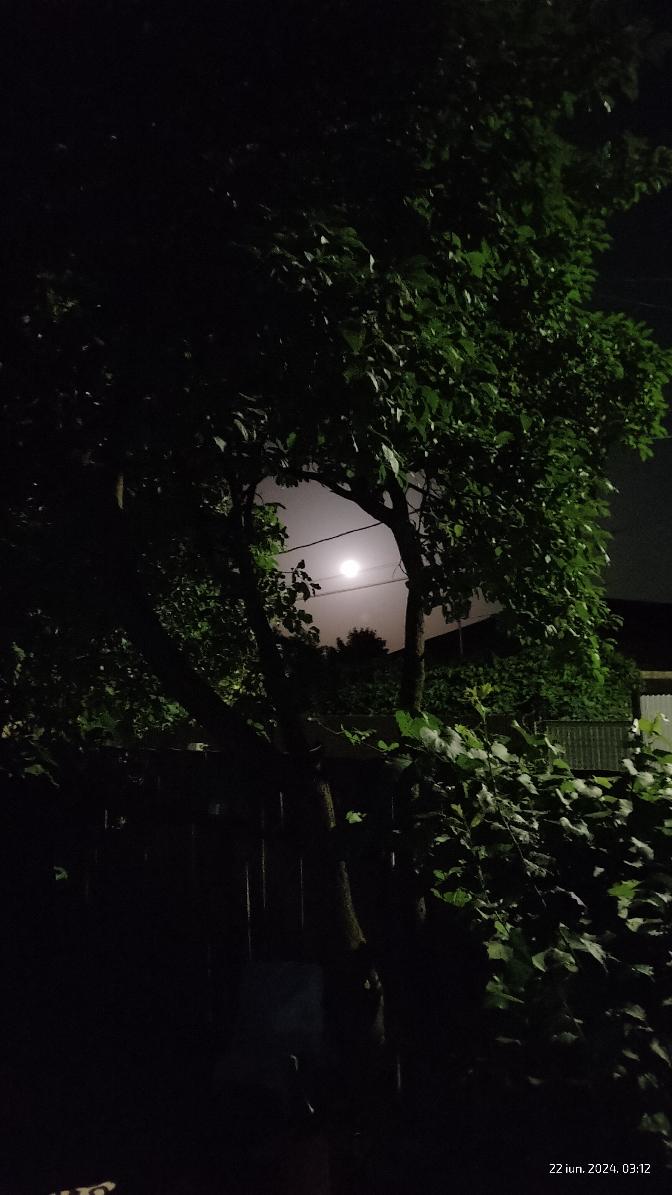 f4151752-d3dc-4135-a287-33c71d7225c4