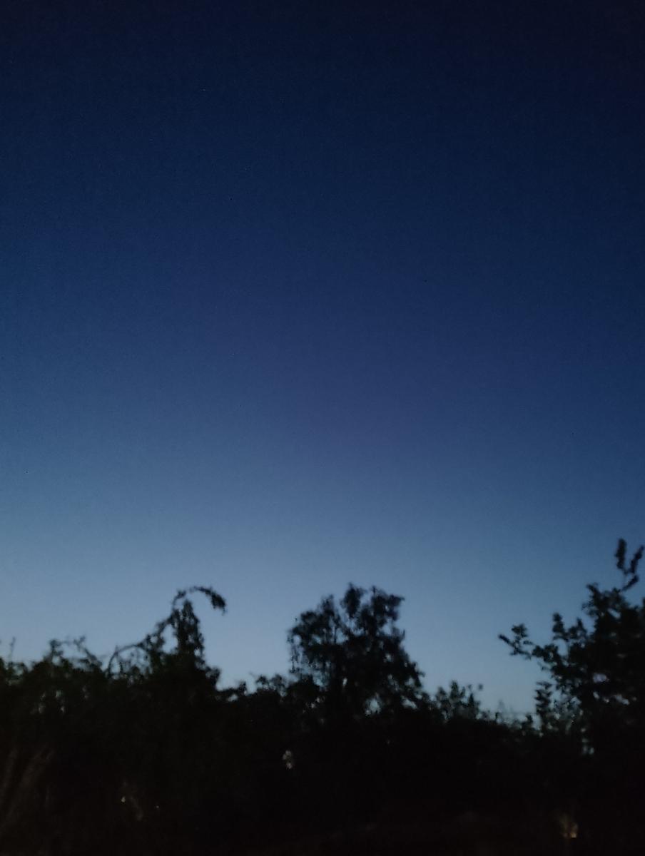 dfb0c98c-a2b1-4857-9db7-8b034be38093