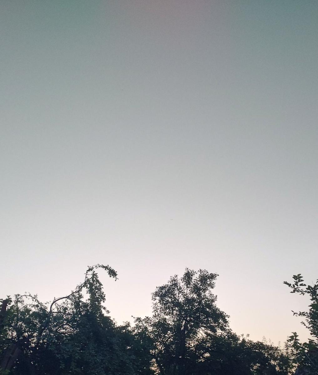 68ef068c-0d69-441a-b147-fe81735ff86a