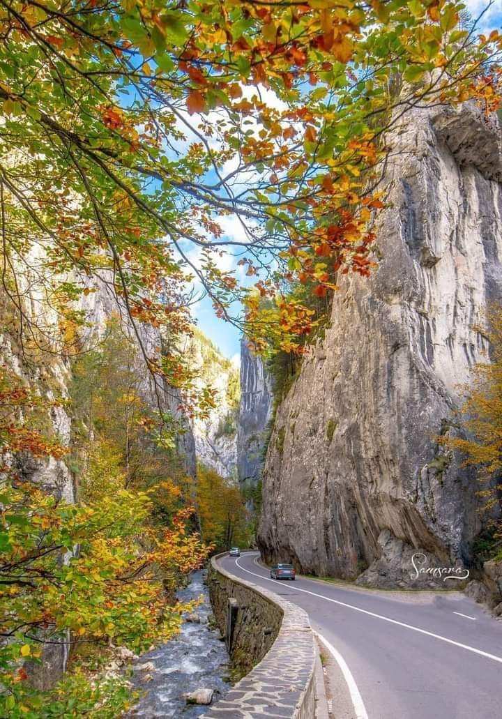 a5b3b982-faaa-4940-93b6-d53664db626a