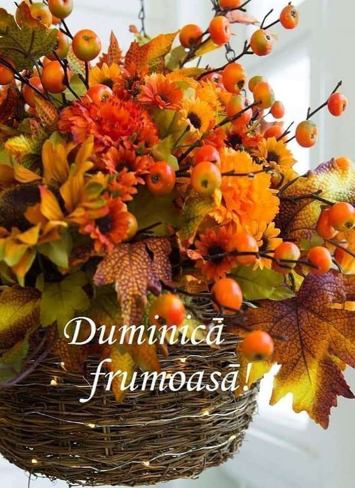 e1c4845f-8fd1-41ad-a803-8140f312d91a