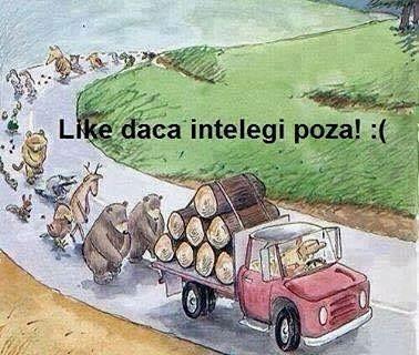 417c7afa-140b-4e62-9761-2f12e3a05d0d