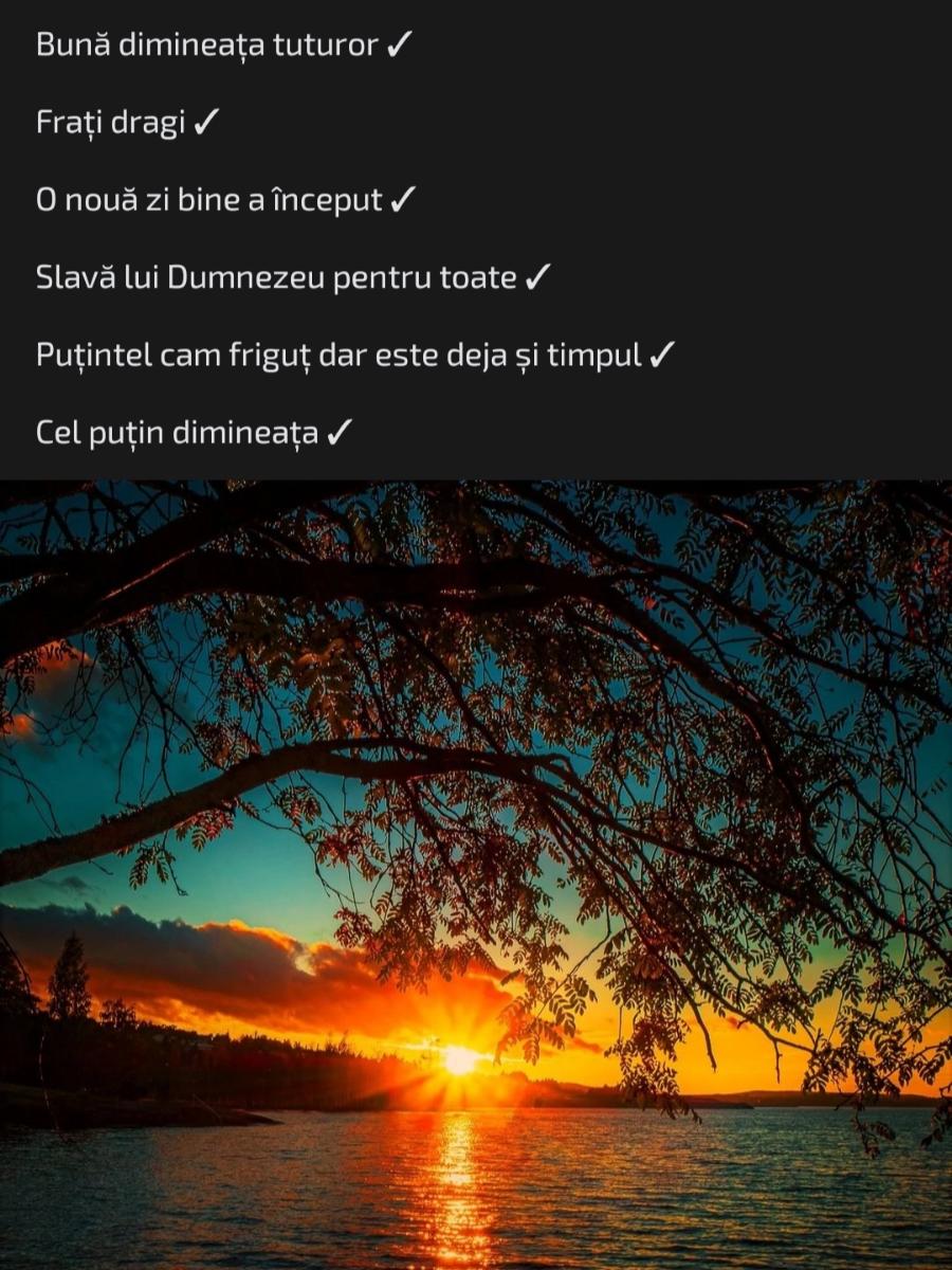 1c44e791-c197-45aa-966a-10e4591c7275