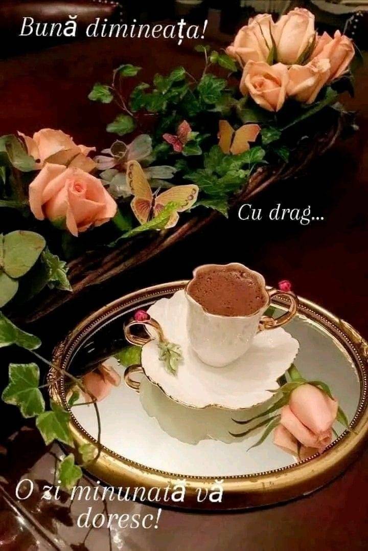 7887daec-031e-4c70-9432-c658b20de333