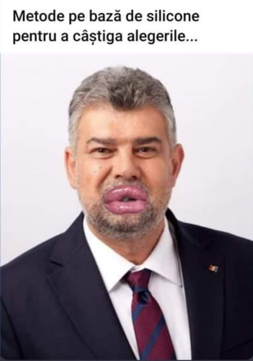 ee21b546-43f8-409c-890e-fa7ce53daed6