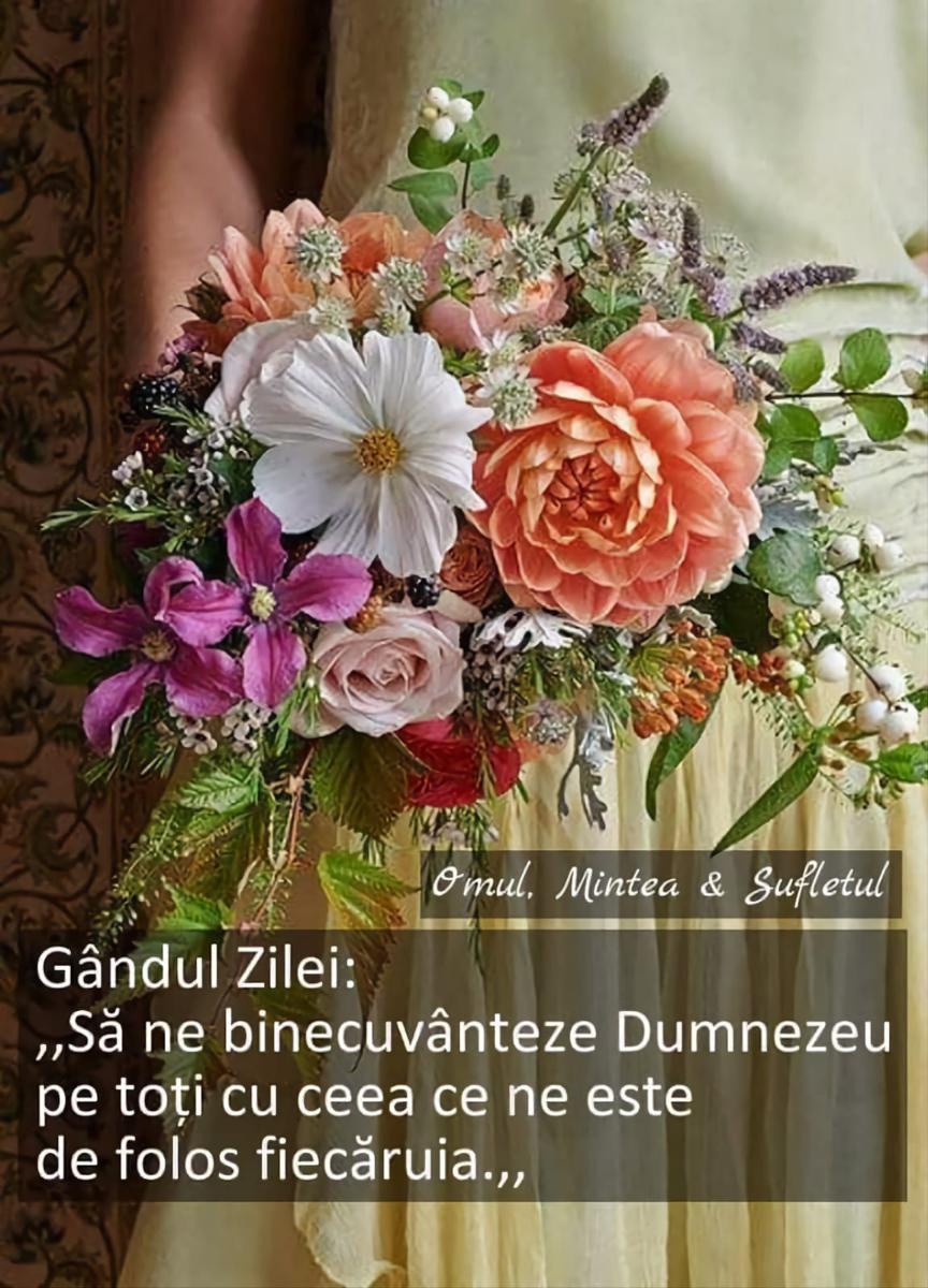 796c7294-dcc0-4483-b5a8-6c214b91e7af