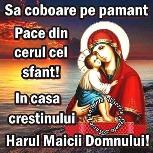 288c5769-91e6-4607-b10a-ec844d60e7a2