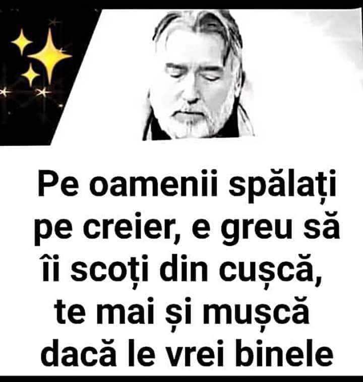 987f417c-da82-4d5e-86ad-4696069c830d