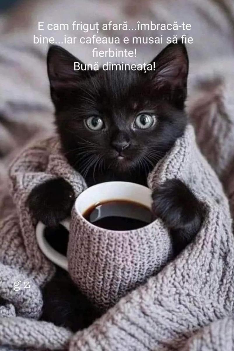 b33e6628-4340-4073-92a9-542aca9d96d9