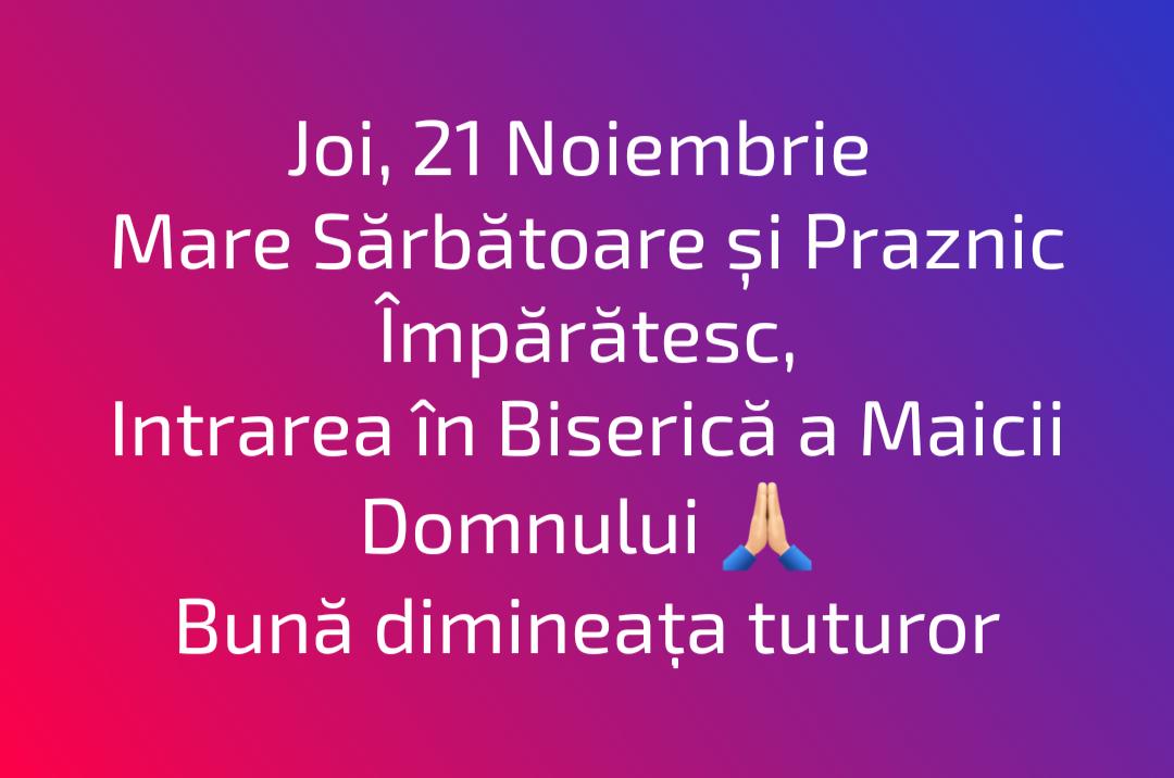 56542ace-e5bb-4e53-8fba-496bc634ee64