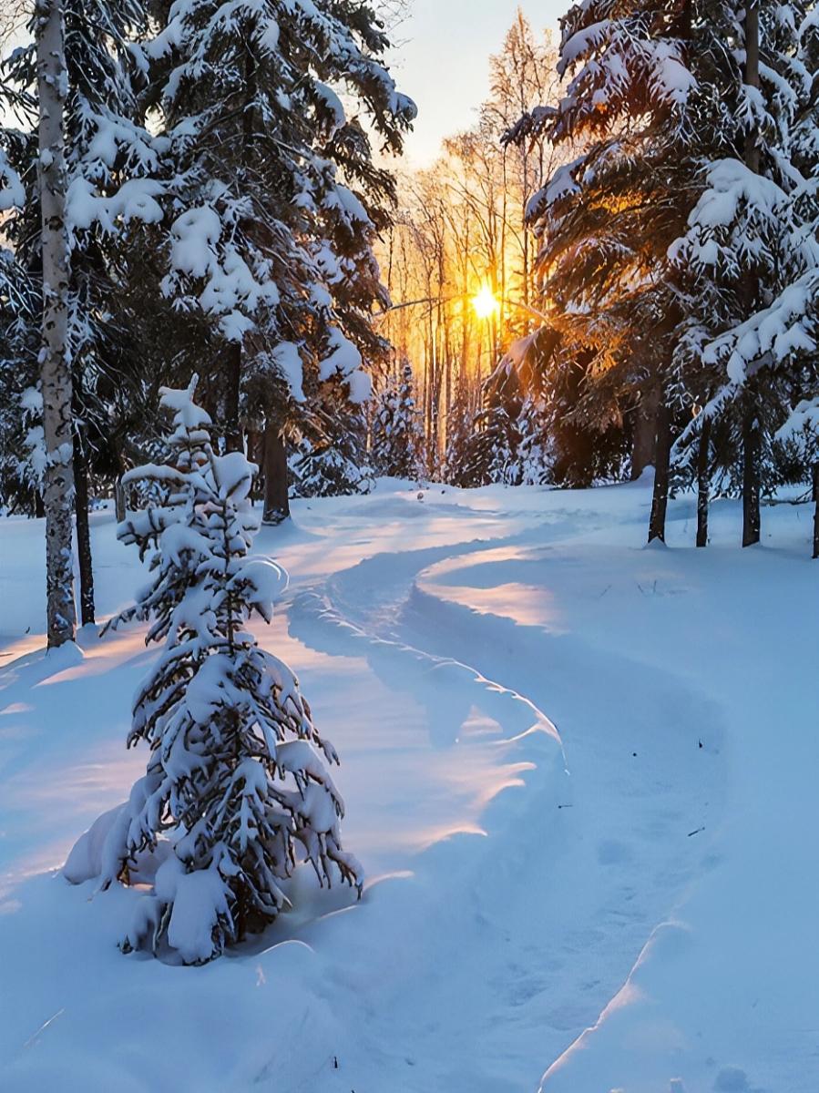 ce2e7ae3-7ad5-45f1-b191-cc5856f70803