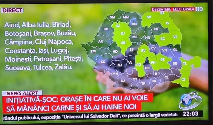 56019d5e-f0b0-42b3-837a-853f5df33010