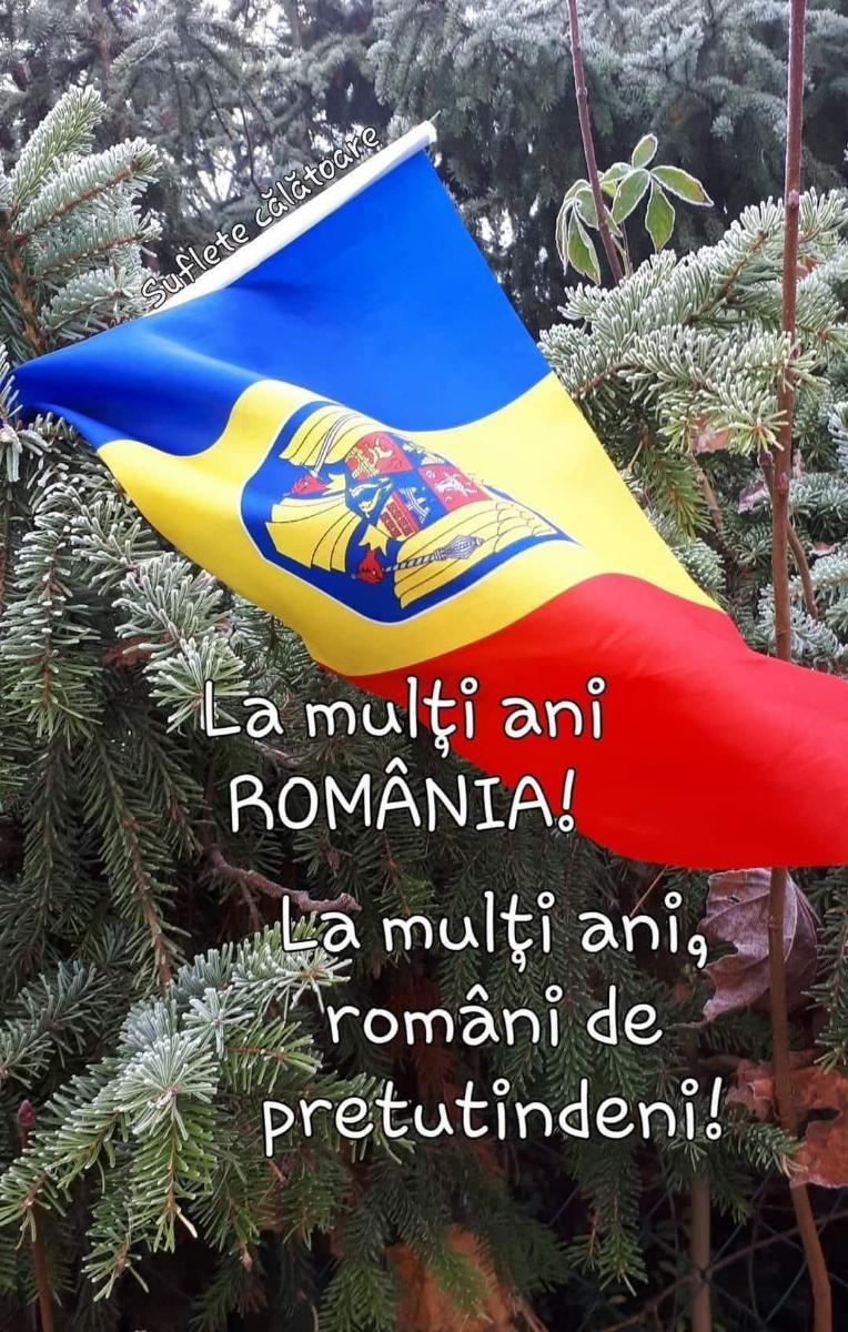 e148c0ce-6a34-4529-acda-eafa92fad8bf