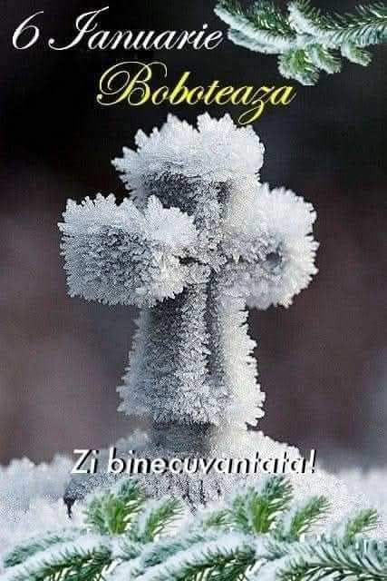 d78d665a-9cb7-4648-925c-025c81f94ec8