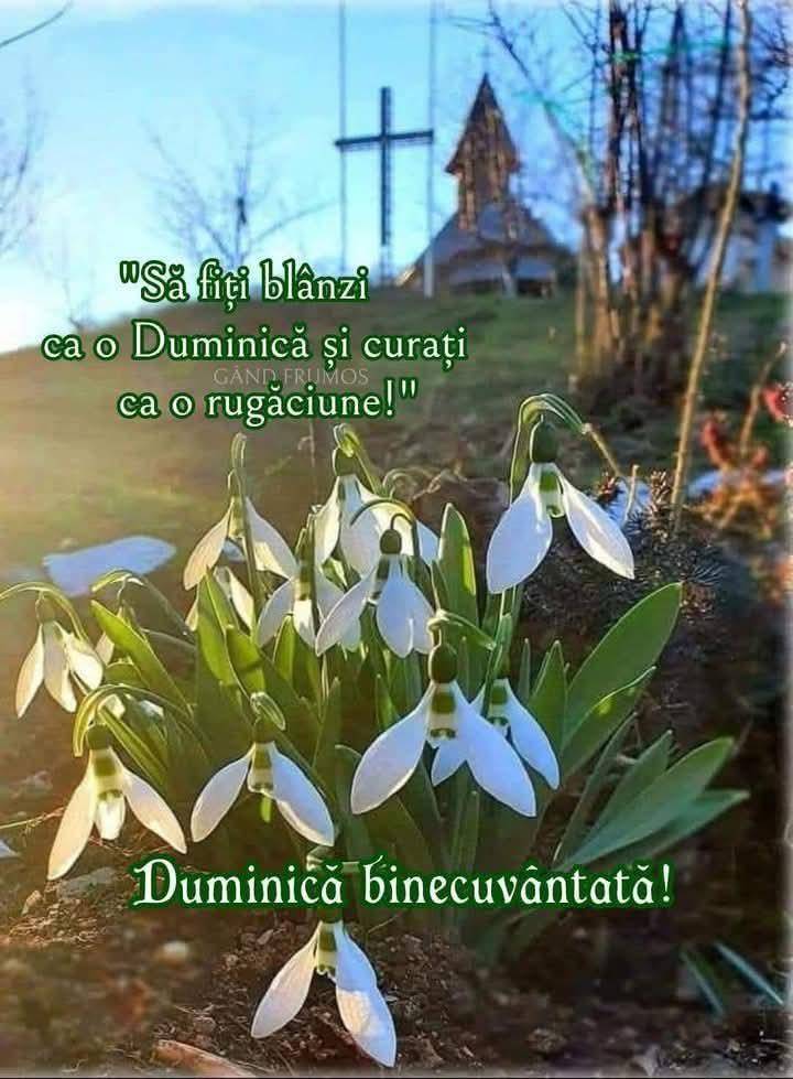 48a8eeb0-e72c-4ce3-be63-7418a04d6afd