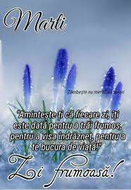 28895e24-b151-4141-a0ed-488a863d763a