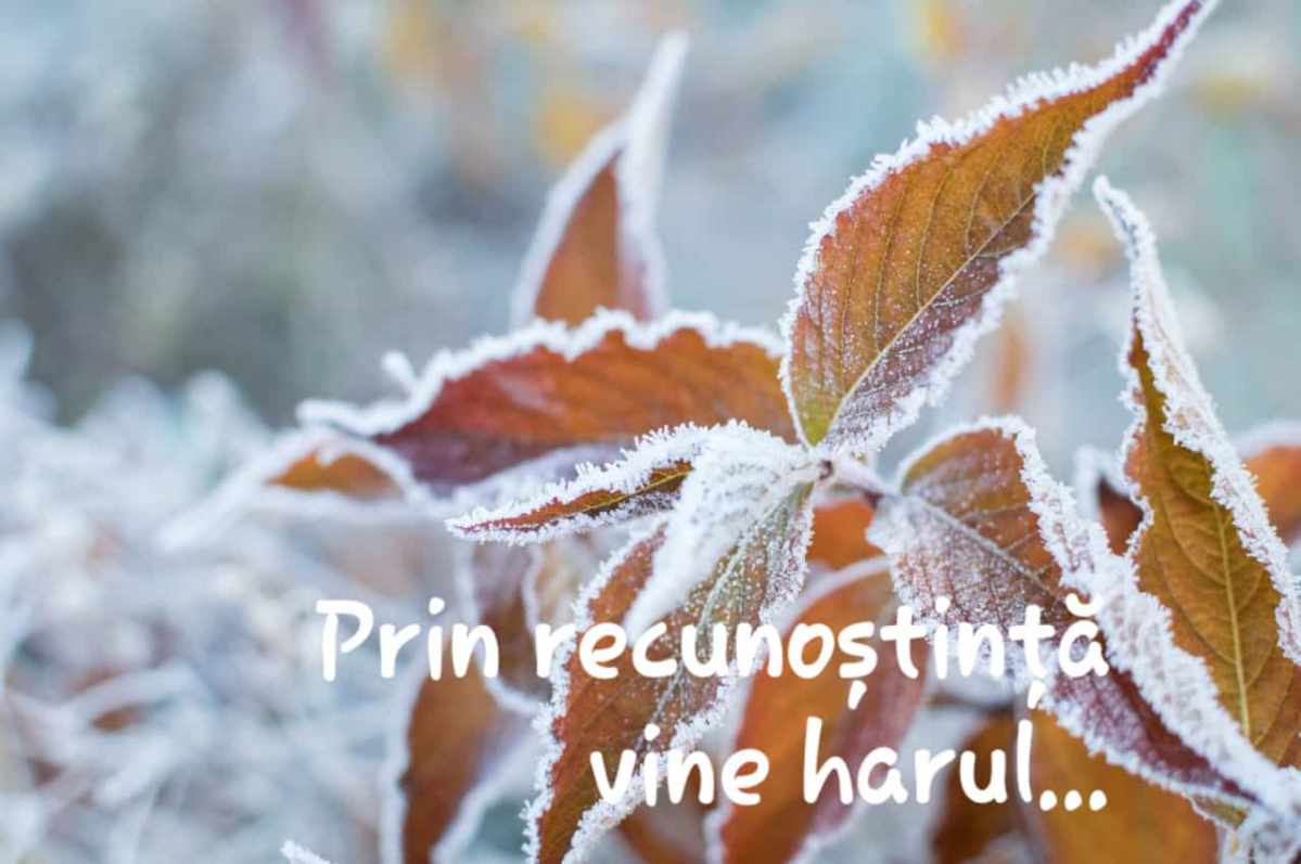 3da612b4-b01e-44eb-8a4f-f2c5d272cf77