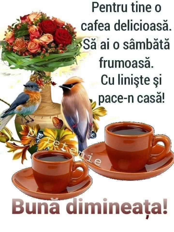 e7bbbab2-0f4c-4191-a5ab-831e594bb196