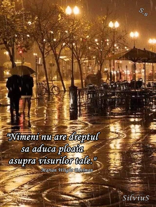Nimeni nu are dreptul să aducă ploaia asupra visurilor tale. Marian Wright Edelman
