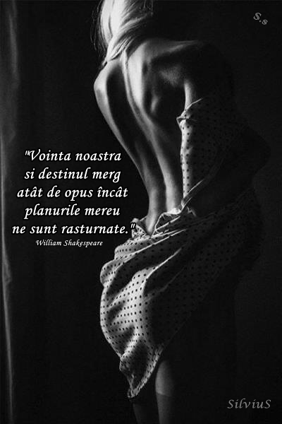 Voinţa noastră şi destinul merg atât de opus încât planurile mereu ne sunt răsturnate.  William Shakespeare