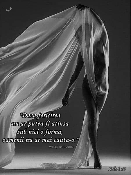 Dacă fericirea nu ar putea fi atinsă sub nici o formă, oamenii nu ar mai căuta-o. Nichifor Crainic