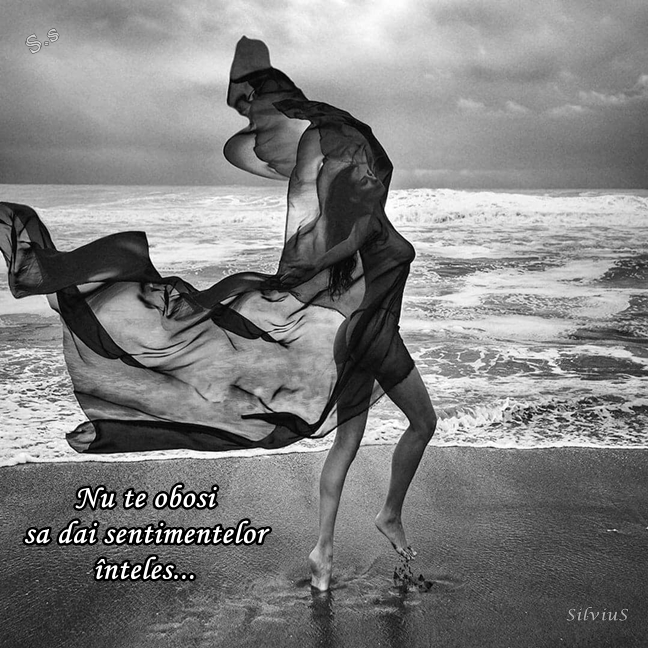 Nu te obosi să  dai sentimentelor înțeles...