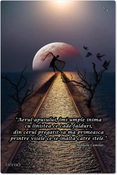 Aerul apusului, îmi umple inima cu liniștea ce cade falduri, din cerul pregătit să mă primească printre visele ce se înalță către stele.  Mihaela Camilar