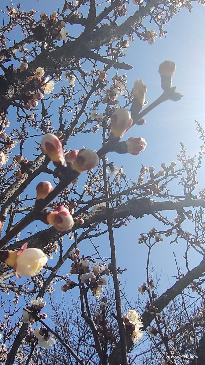 47c59c6d-ea2e-4845-8e9d-f383531b3760