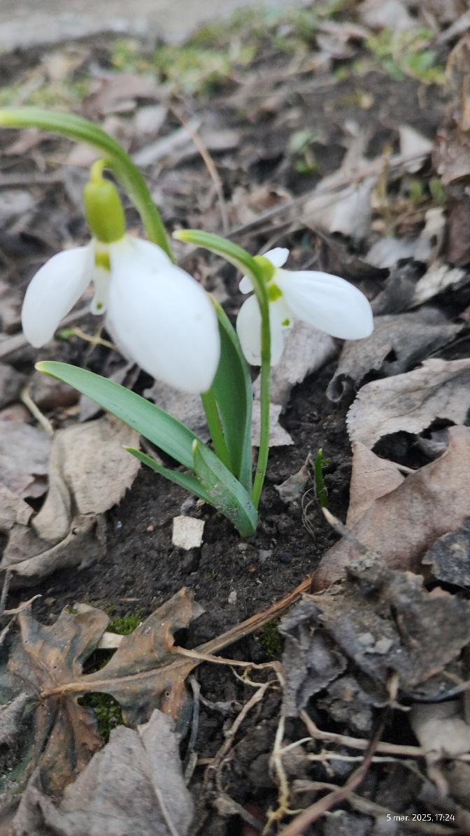 f693e43d-176e-4bd3-84a7-031423aaf965