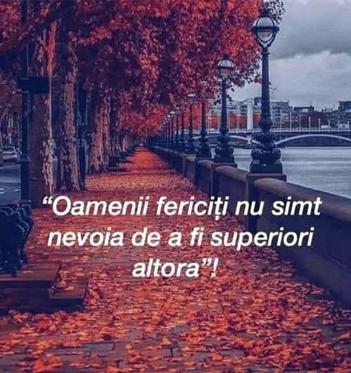 8f64ca34-6e3f-4885-b1cd-6ebfa01023c5