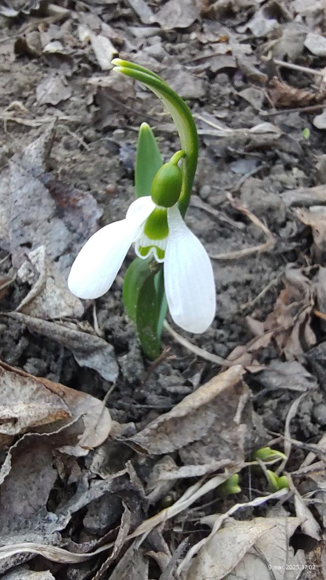 af3a1b07-1de1-4f26-a0d8-ab0712d19932