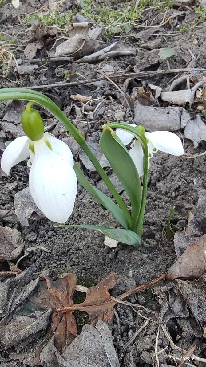 6364085c-b55a-4b18-94bc-4a9112f4e1fa