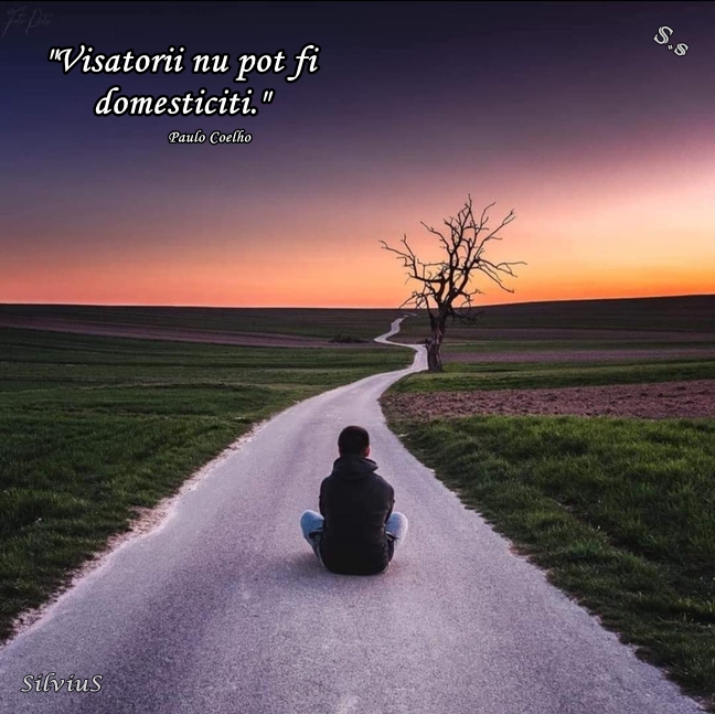 Visătorii nu pot fi domesticiți.  Paulo Coelho