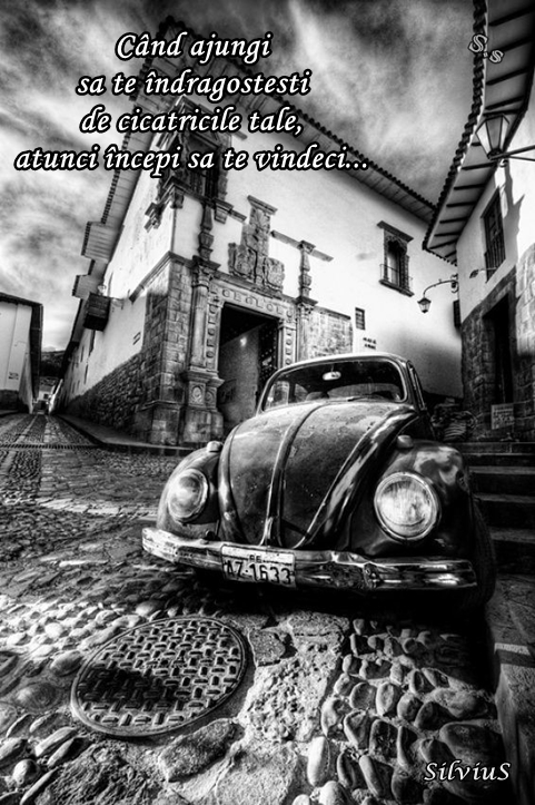 Când ajungi să te îndrăgostești de cicatricile tale, atunci începi să te vindeci...
