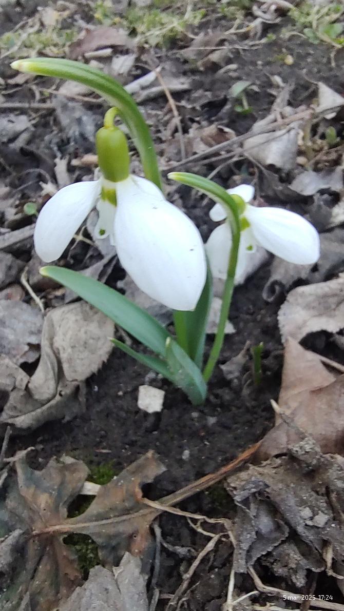 11ee2ca9-5218-4895-8f68-2be0b747e900