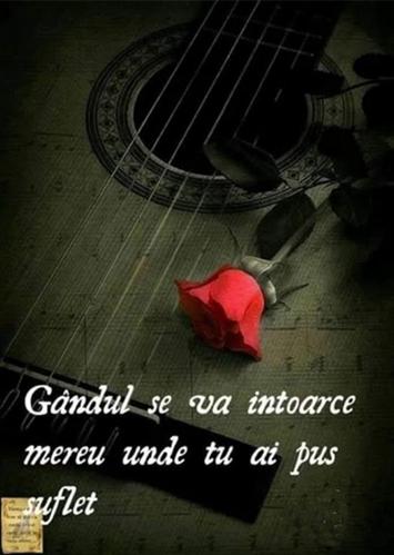 c47e707e-822c-4500-9171-8215cf001780