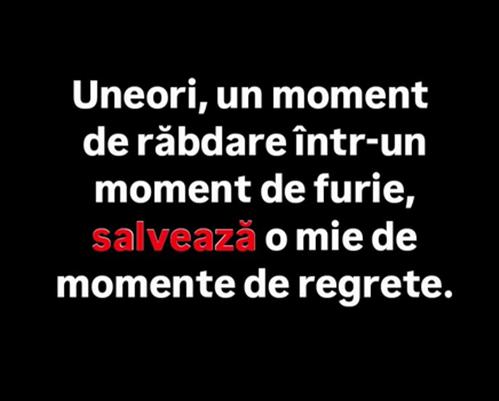 8c28fe8f-83e1-43a8-87f8-77496cc18a95