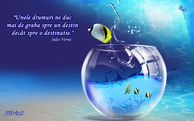 Unele drumuri ne duc mai de grabă spre un destin decât spre o destinație.  Jules Verne