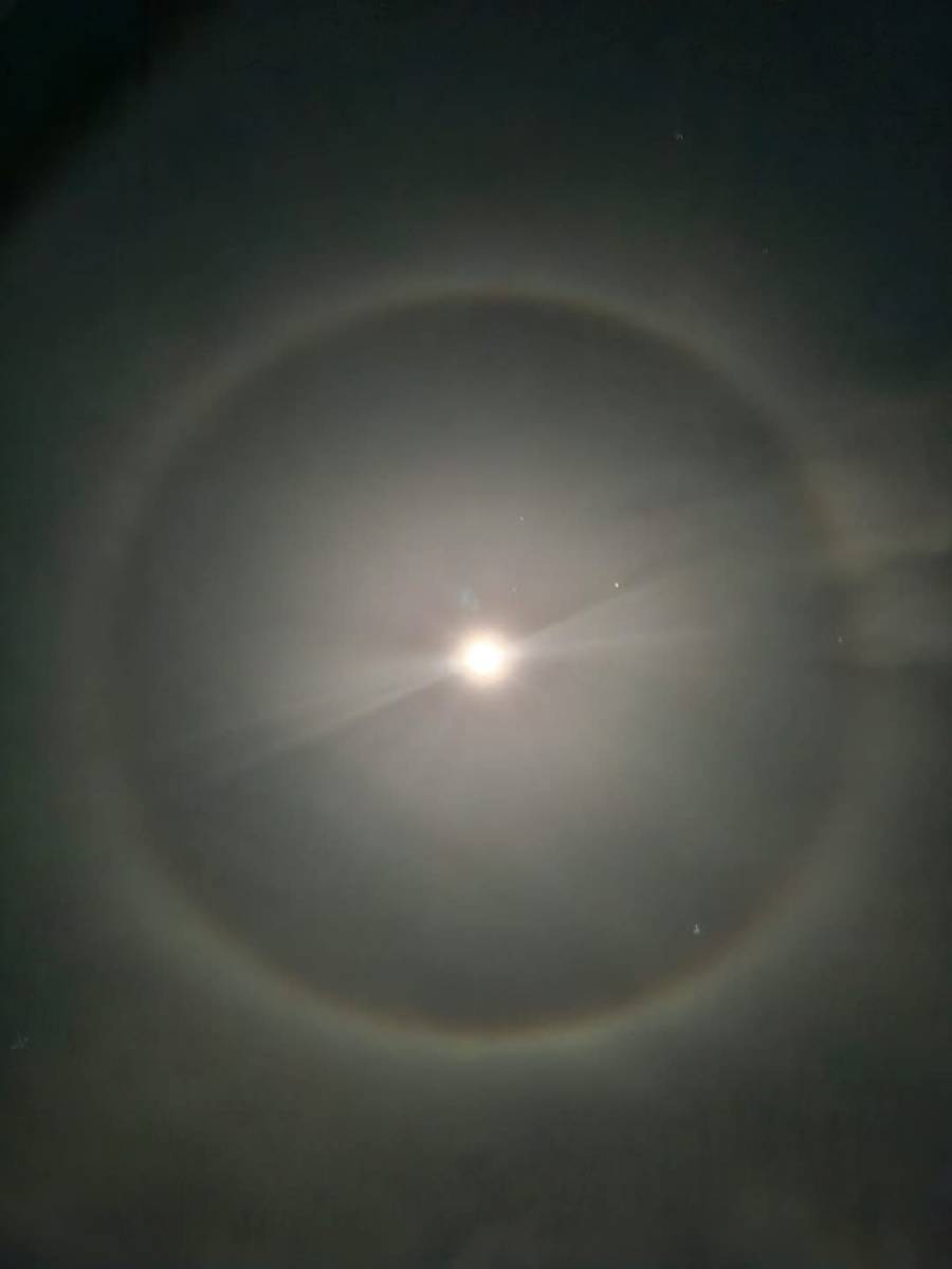 cc1468c8-2ddb-474a-9fe6-632fb66e2a5d