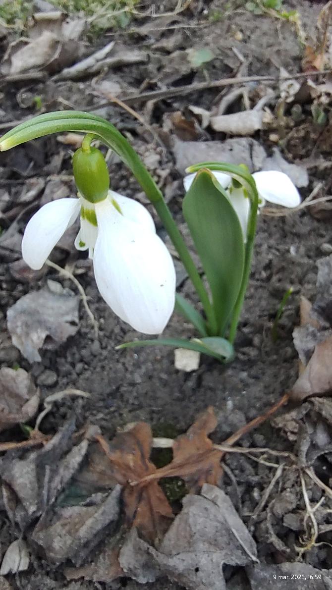 3235dfeb-1263-4d69-875a-34a9b5908b23