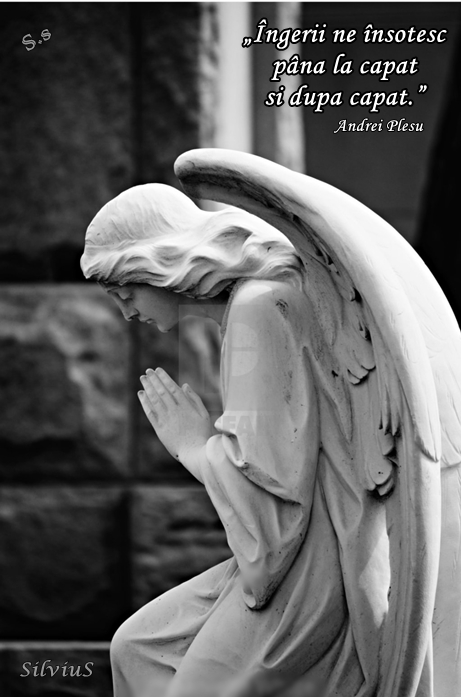 Îngerii ne însoţesc până la capăt şi după capăt. Andrei Plesu