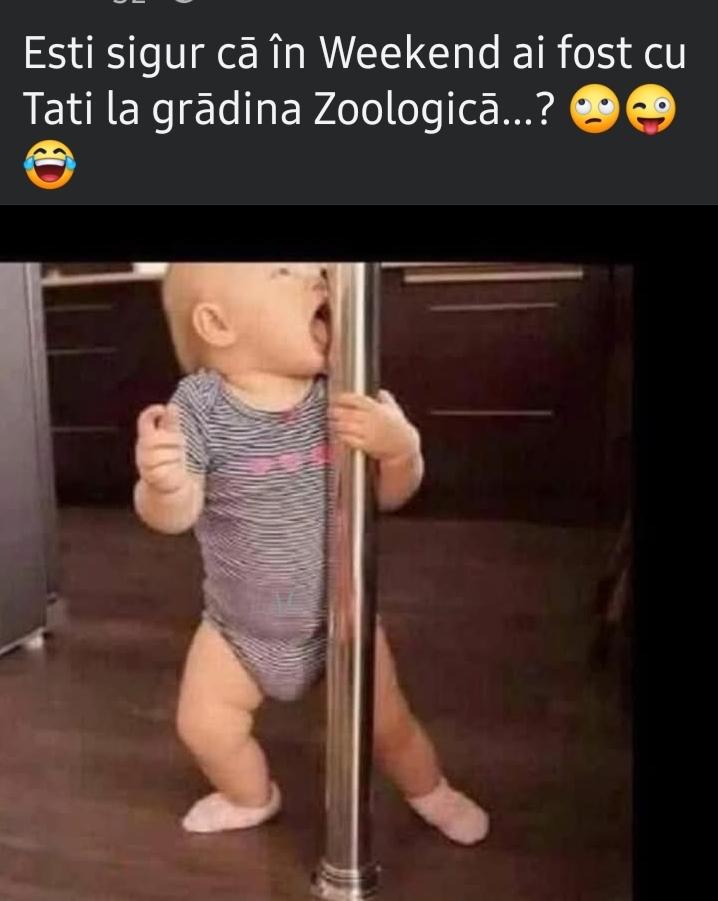 031a3475-6efe-4a98-8480-b193a6b2c28e