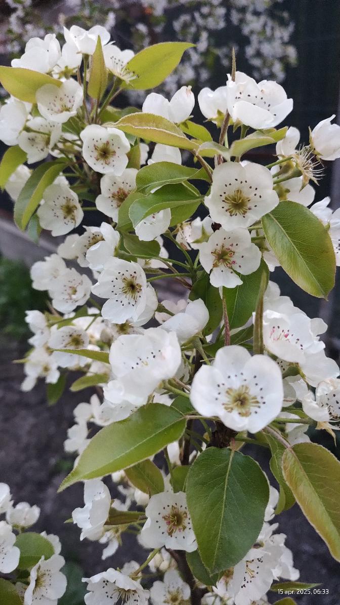 61b4c102-c182-421d-87d6-e0e35511a1da