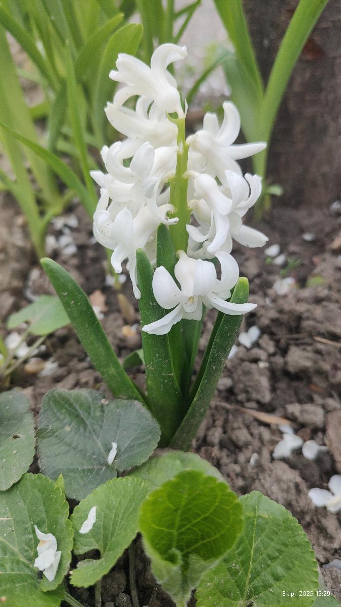 4909f364-fd5c-476d-b7c2-d84b40de1b17