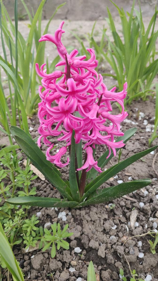 a0902c65-b65d-4ec5-8a91-ae61f6bae464