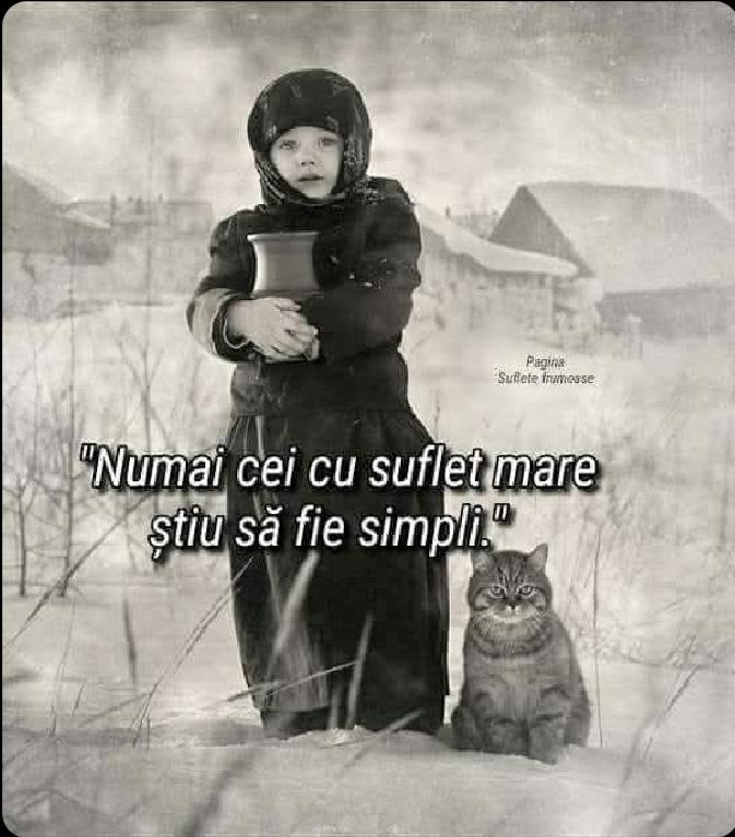 b3b51f0c-7013-48db-b1cf-d1c38af13c2e